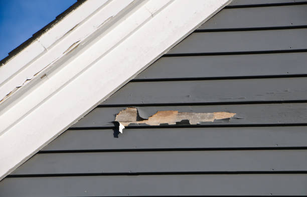 How To Choose The Right Materials for Your Siding Installation in 'Grenelefe, FL